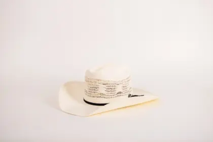 Bailey Western Desert Breeze