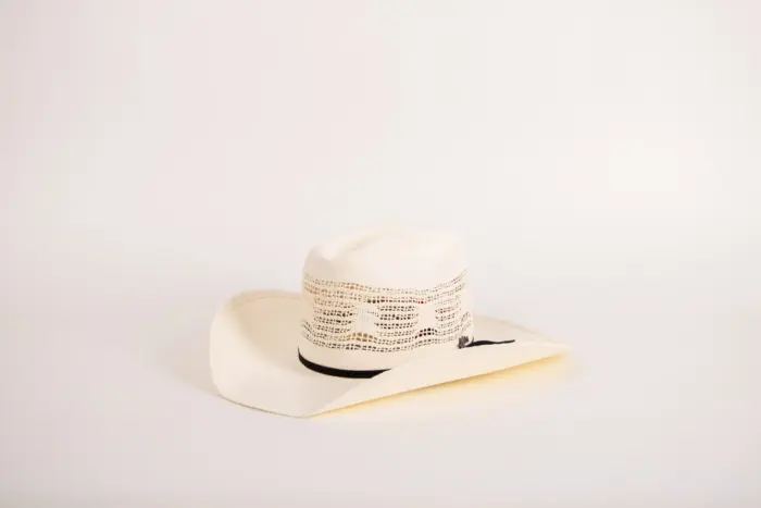 Bailey Western Desert Breeze