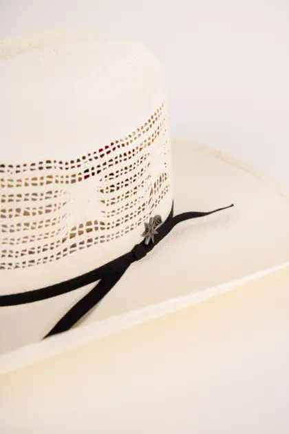 Bailey Western Desert Breeze