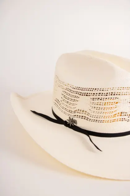 Bailey Western Desert Breeze