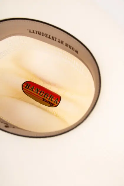 Bailey Western Desert Breeze