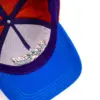 Stetson Trucker Cap Ski
