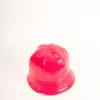 Bedacht Vernice Cloche