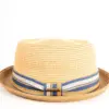 Stetson Pork Pie Toyo