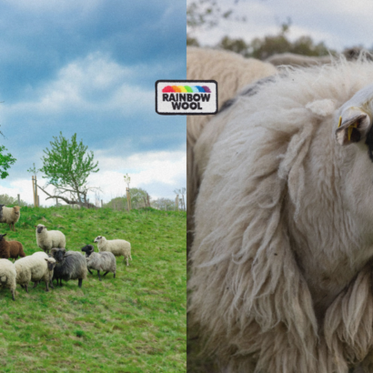 Rainbow Wool Schafherde Stücke