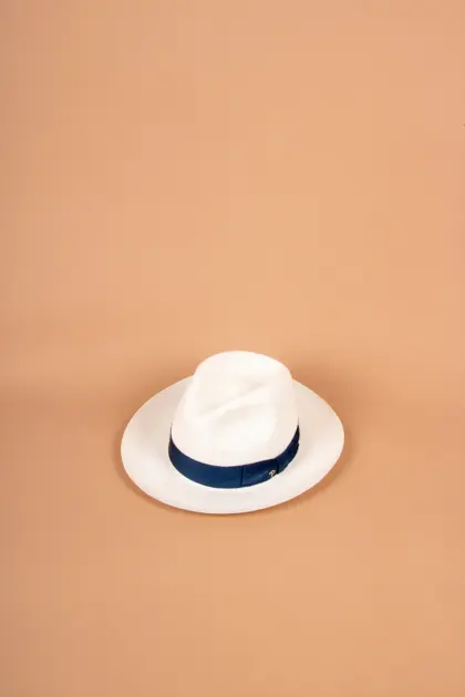 Panizza Brisa Panama