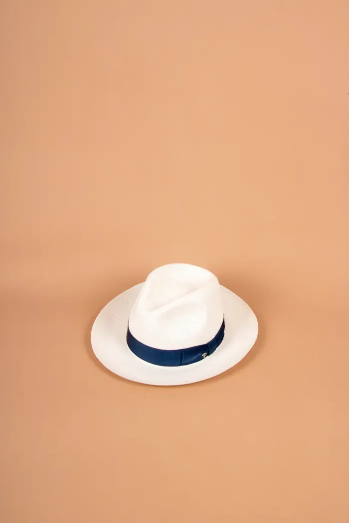 Panizza Brisa Panama