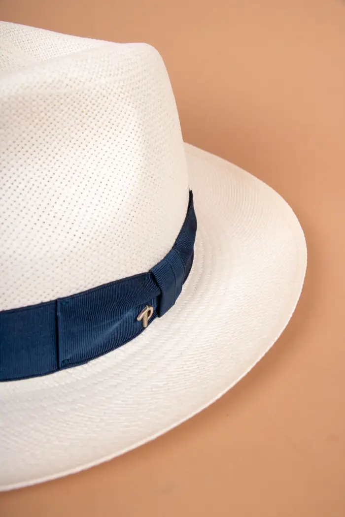 Panizza Brisa Panama