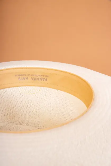 Panizza Brisa Panama