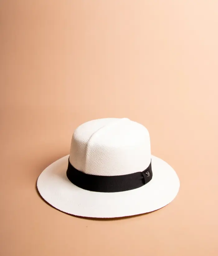 Vintimilla Hat rollbar