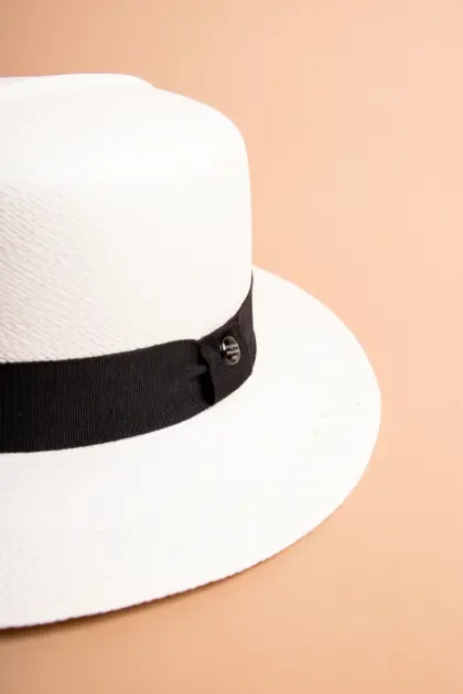 Vintimilla Hat rollbar