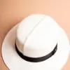 Vintimilla Hat rollbar