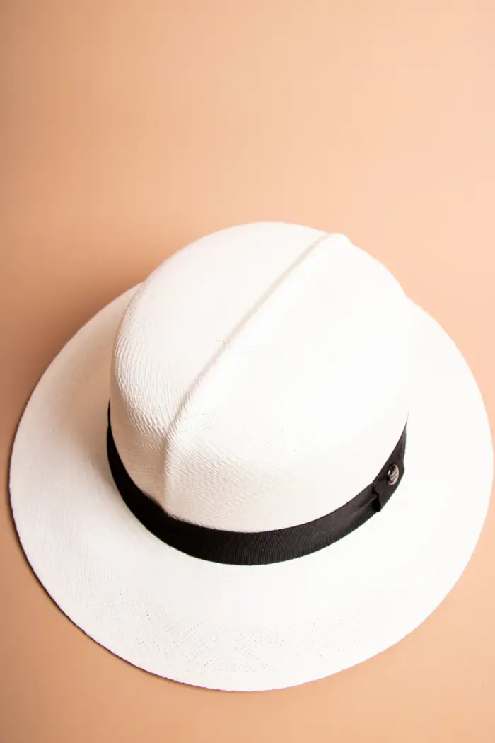 Vintimilla Hat rollbar